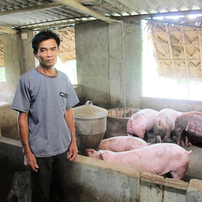 Anh Trương Quang Đạo sử dụng hiệu quả mô hình nuôi heo kết hợp thu khí biogas.