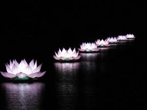 7 đóa sen khổng lồ tỏa sáng trên dòng sông Hương. (Ảnh: Quốc Việt/Vietnam+)