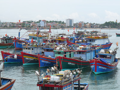 Đội tàu đánh bắt cá xa bờ này là tiềm năng cung cấp nguồn hàng cho ngư dân Bảo Ninh giữ vững nghề làm nước mắm truyền thống. Ảnh: T.H