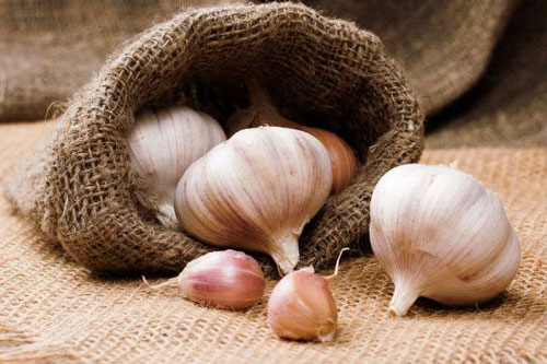 Tỏi có tác dụng chữa bệnh rất tốt - Ảnh: Shutterstock