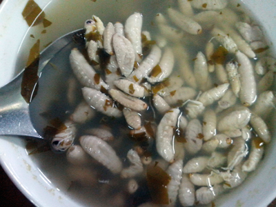 Canh giấm ong được xem là món ăn giàu chất dinh dưỡng