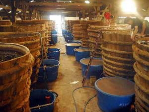 Cơ sở sản xuất nước mắm Hồng Đại tại thị trấn Dương Đông. (Ảnh: Thanh Vũ/TTXVN)