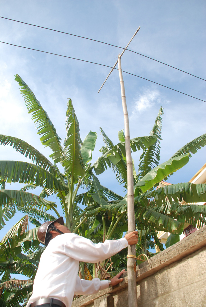 Những cọc tre được người dân tận dụng để làm cột điện.