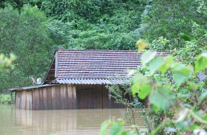 Nhiều nhà dân xã Thượng Hóa bị nước ngập sâu.