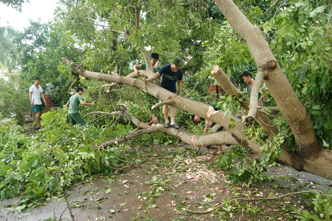 Lực lượng quân đội chặt cây gãy đổ.