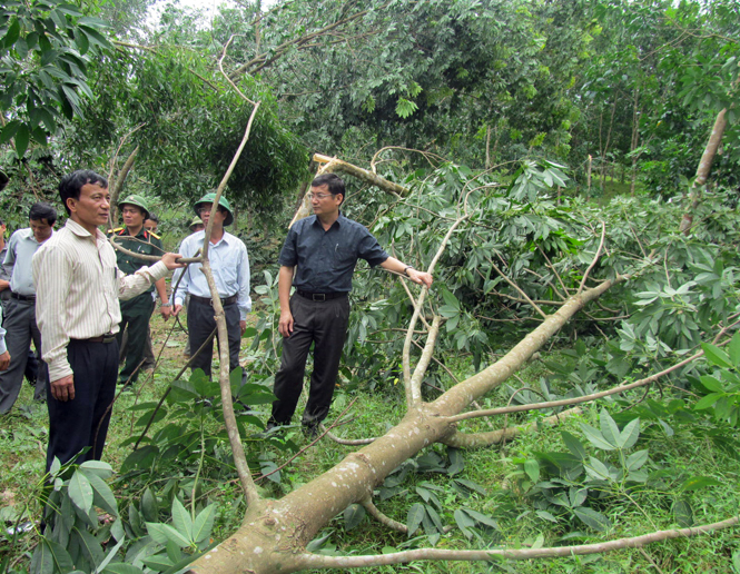 Đồng chi Trần Tiến Dũng kiểm tra tình khắc phục cơn bão số 10 tại Tuyên Hoá.