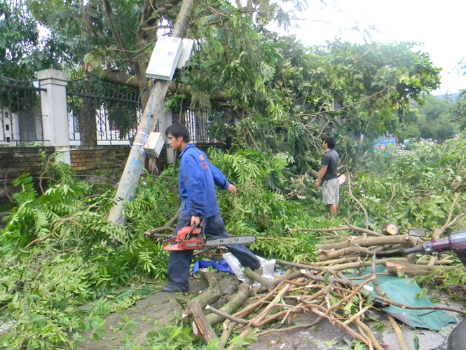 Các lực lượng tham gia cưa tỉa cành cây gãy đổ, bảo đảm giao thông tại thị trấn Đông Lê.