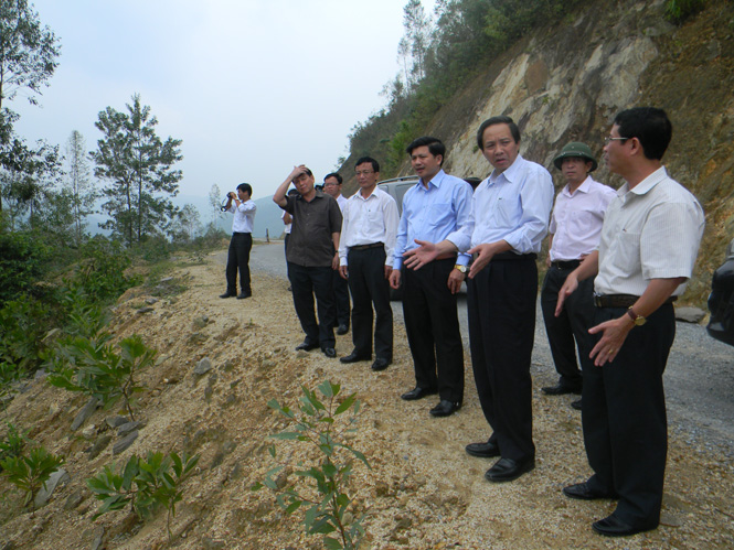 Đồng chí Hoàng Đăng Quang kiểm tra rừng bị thiệt hại sau bão tại thôn Lạc Hóa, xã Mai Hóa.