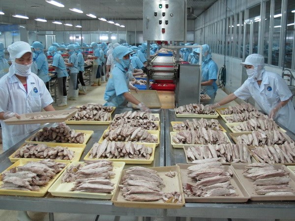 Chế biến cá ngừ đóng hộp tại Công ty KTC Food Kiên Giang. (Ảnh: Phương Vy/TTXVN)