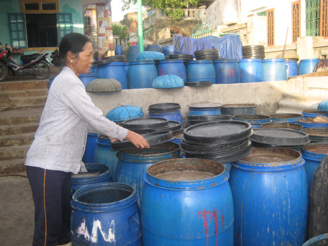 Chế biến thủy sản ở Bảo Ninh.