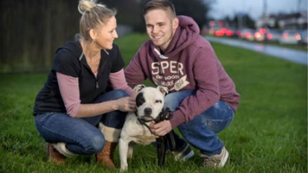  Chú chó Chance đã hội ngộ chủ nhân sau 10 năm thất lạc