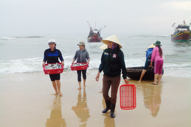 Tờ mờ sáng các chủ cơ sở đã có mặt ở bãi biển thu mua cá từ các tàu vừa cập bến.