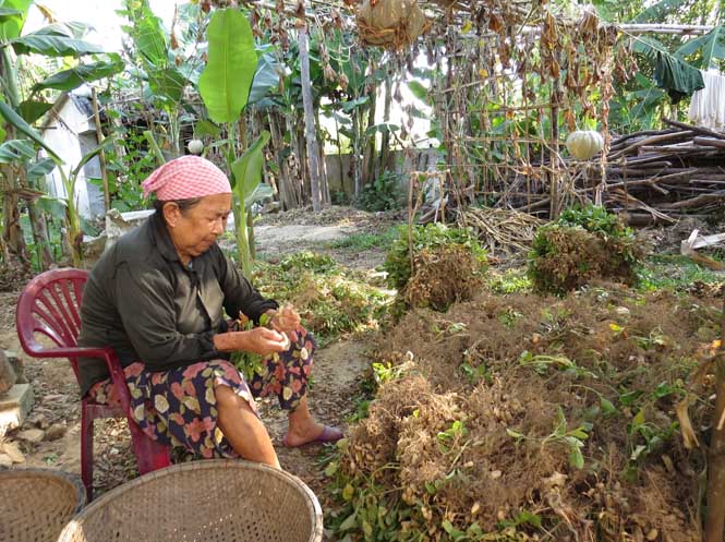 Công việc ở hậu phương của mẹ Hồ Thị Đức.