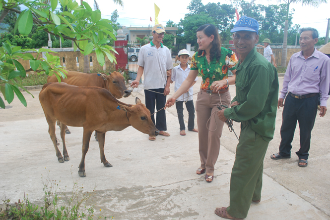 Người khuyết tật xã Quảng Tùng đang hồ hởi tiếp nhận bò giống từ dự án.