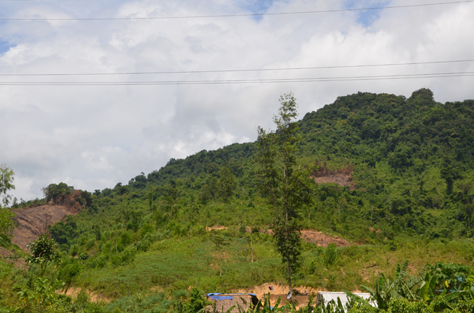 UBND tỉnh chỉ đạo hoàn thành việc rà soát quy hoạch 3 loại rừng.