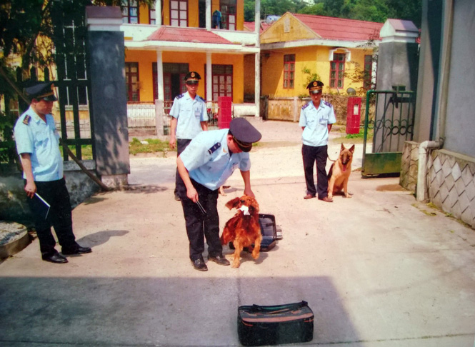 Lực lượng Hải quan CKQT Cha Lo sử dụng chó nghiệp vụ trong đấu tranh phòng chống tội phạm.