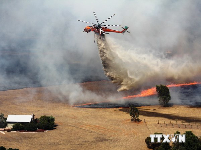 Cháy rừng dữ dội do nắng nóng ở bang Victoria, Australia. (Nguồn: THX/TTXVN)