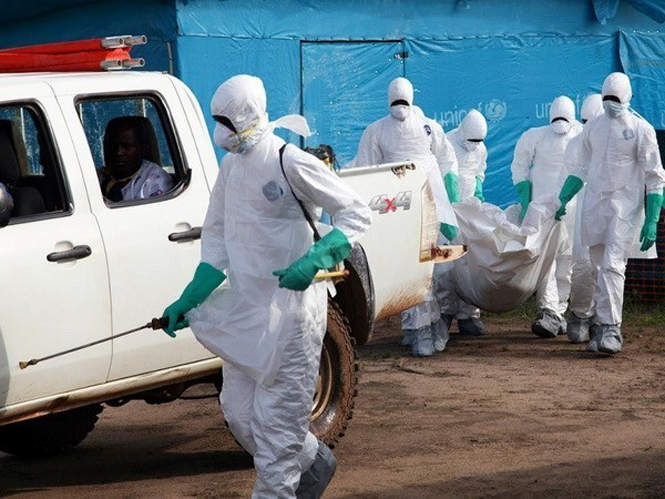  Dịch Ebola vẫn đang hoành hành tại Tây Phi. (Nguồn: AP)
