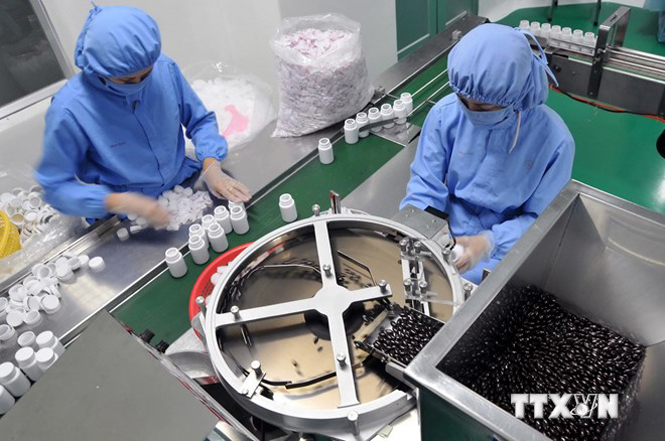 Ảnh minh họa. (Nguồn: TTXVN)