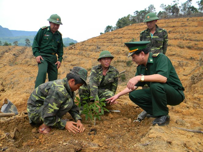 Đại tá Nguyễn Văn Phúc, Chỉ huy trưởng Bộ chỉ huy BĐBP tỉnh, kiểm tra CBCS Đồn Biên phòng Ra Mai trồng cao su tại xã Trọng Hóa (Minh Hóa).