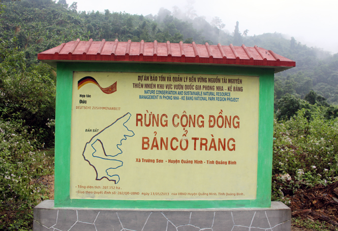 Rừng cộng đồng thuộc dự án vùng đệm Phong Nha- Kẻ Bàng giao cho bản Cổ Tràng.