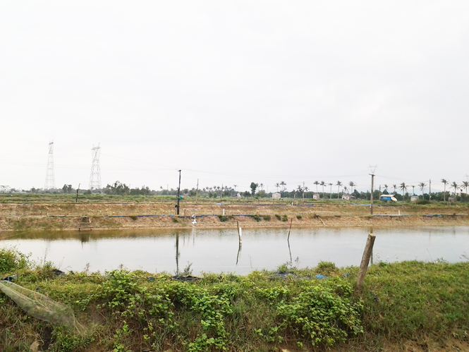 Đảng bộ Quảng Phong đã lãnh đạo nhân dân địa phương đầu tư phát triển có hiệu quả các mô hình nuôi trồng thủy sản.