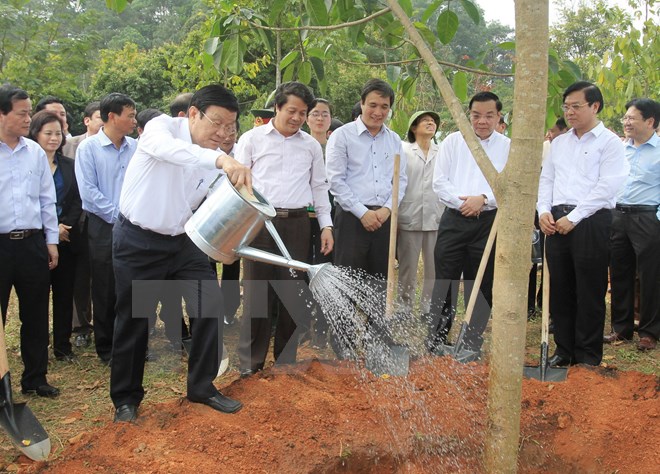 Chủ tịch nước Trương Tấn Sang tham gia trồng cây tại Khu di tích Đền Hùng. (Ảnh: Nguyễn Khang/TTXVN)