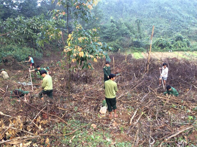 CBCS Đồn Biên phòng Làng Ho phối hợp với địa phương phát quang đất trước khi trồng cây.