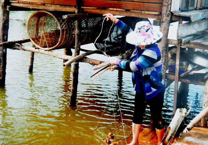 Mô hình nuôi cá đem lại hiệu quả kinh tế cao ở phường Phú Hải (TP. Đồng Hới).