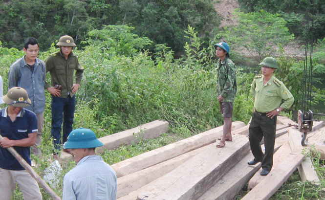 Lực lượng chức năng huyện Minh Hoá thu giữ gỗ khai thác trái phép.