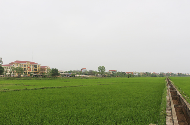 Bộ mặt nông thôn mới xã Lộc Ninh đang dần định hình.