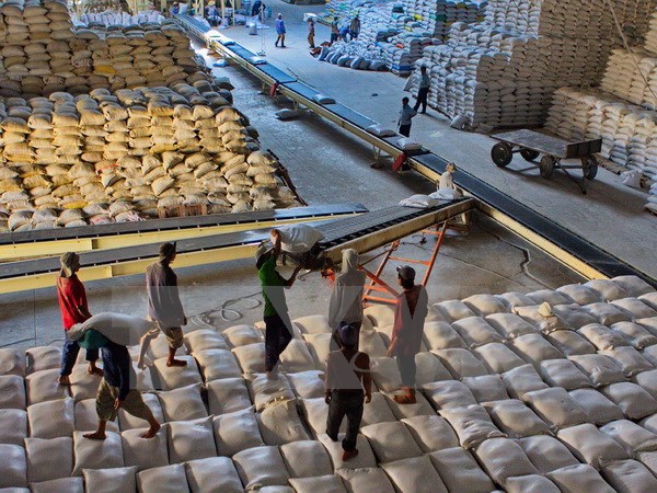 Bốc xếp gạo xuất khẩu tại Công ty CP lương thực Hậu Giang. (Ảnh: Duy Khương/TTXVN)