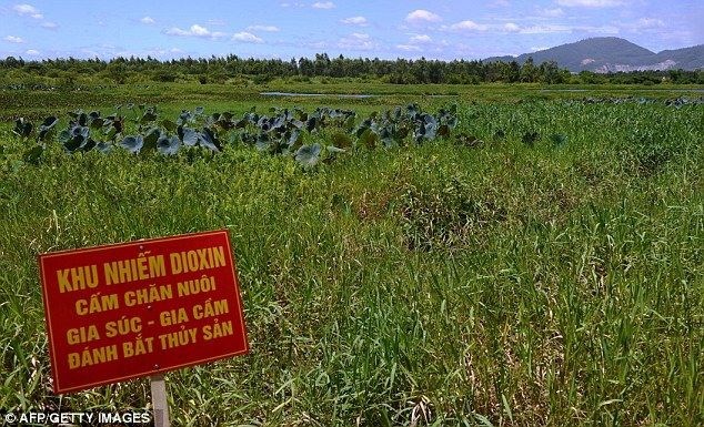 Khu vực bị nhiễm dioxin nặng ở quanh sân bay Đà Nẵng. (Nguồn: AFP)