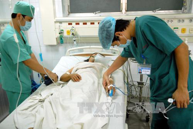 Ảnh minh họa - TTXVN