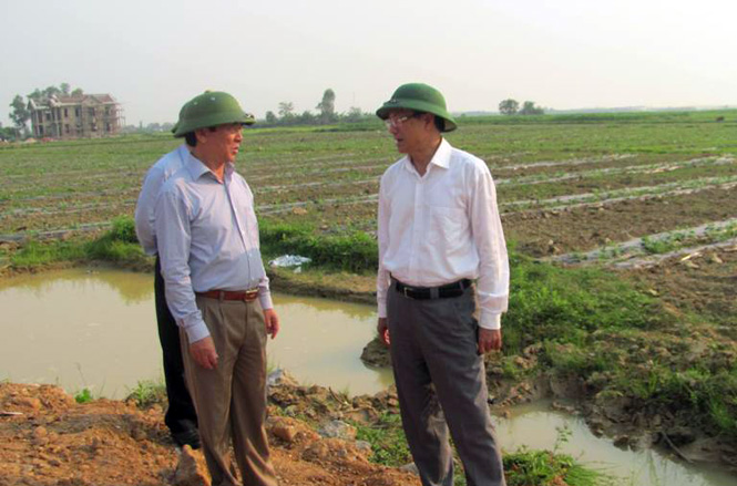 Đồng chí Bí thư Tỉnh ủy thăm mô hình sản xuất dưa hấu tại xã Đại Trạch.