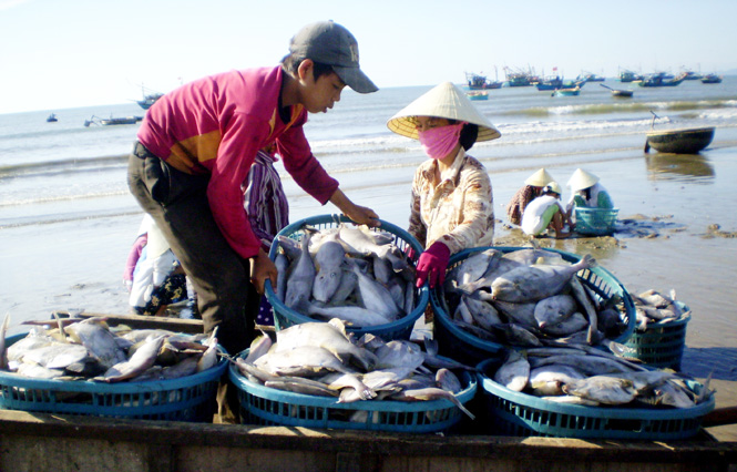 Đẩy mạnh phát triển nghề cá góp phần nâng cao thu nhập của người dân.
