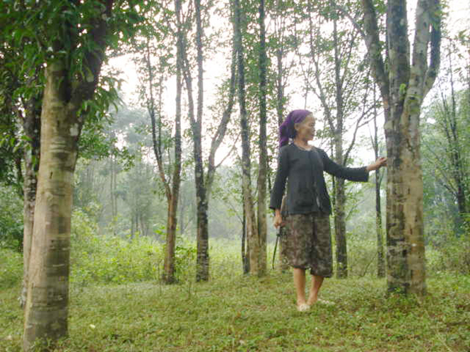 Phụ nữ xã Thanh Hoá, huyện Tuyên Hoá đẩy mạnh trồng rừng kinh tế để xoá đói giảm nghèo và vươn lên làm giàu chính đáng.