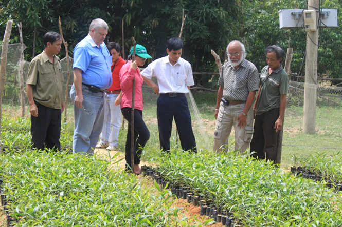 Dự án bảo tồn tài nguyên thiên nhiên do Ngân hàng tái thiết Đức tài trợ trồng rừng tại Minh Hoá.