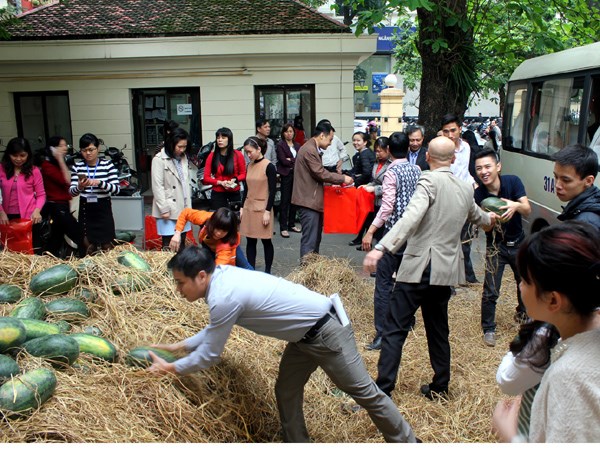Nhiều cơ quan, bộ ngành đã chung tay giúp người nông dân tiêu thụ nông sản (Nguồn: PV/Vietnam+)