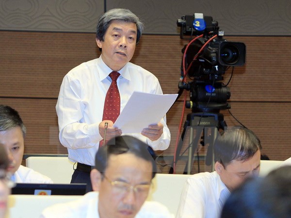 Đại biểu Hà Minh Huệ, tỉnh Bình Thuận phát biểu ý kiến. (Ảnh: An Đăng/TTXVN)