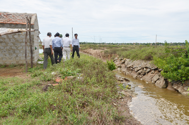 Hầu hết các kênh mương ở Quảng Trạch bị cạn nước.