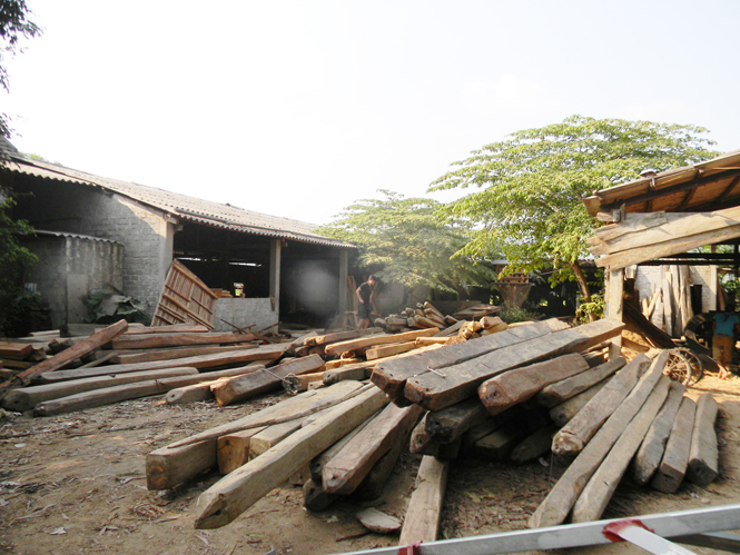Các cơ sở cưa xẻ gỗ có dấu hiệu ô nhiễm môi trường, vi phạm về cất giữ, chế biến gỗ không có nguồn gốc hợp pháp sẽ bị xử lý nghiêm.
