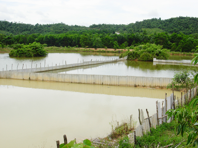 Mô hình nuôi trồng thuỷ sản tại Cầu Roòng, xã Hồng Hoá.