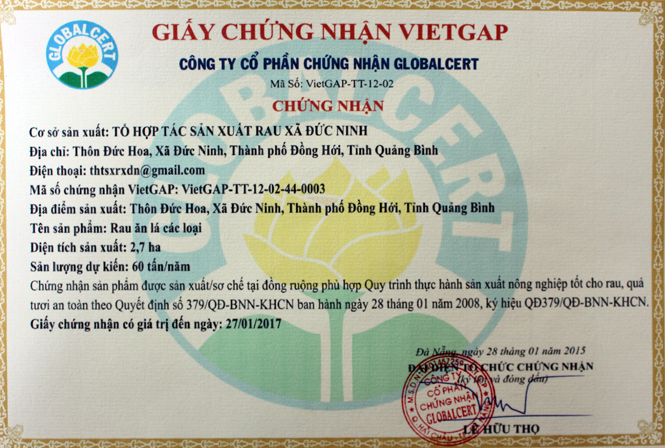 Giấy chứng nhận tiêu chuẩn VietGap cho vùng rau sạch thôn Đức Hoa, xã Đức Ninh.