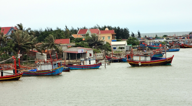 Kinh tế huyện Bố Trạch chuyển dịch tích cực theo hướng tăng dần tỷ trọng thủy sản.