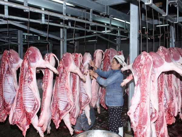 Giết mổ gia súc tại Trung tâm giết mổ gia súc Đà Sơn, quận Liên Chiểu, Đà Nẵng. (Ảnh: Đình Huệ/TTXVN)
