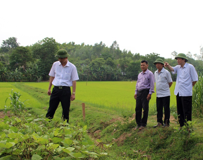 Đồng chí Hoàng Đăng Quang, Phó Bí thư Thường trực Tỉnh ủy, Trưởng đoàn đại biểu Quốc hội tỉnh thăm mô hình chuyển đổi cây lúa sang cây ngô và đậu xanh tại xã Quảng Thạch.