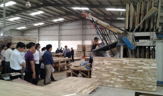 Các đại biểu tham quan mô hình sản xuất gỗ ván ghép thanh tại Công ty TNHH xuất nhập khẩu công nghiệp Trường Thành