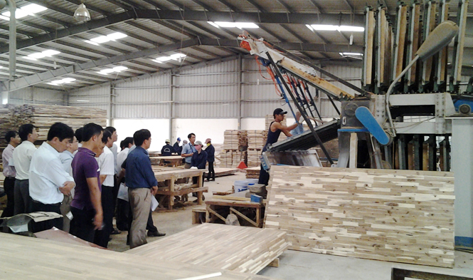 Dây chuyền sản xuất sản phẩm gỗ ván ghép thanh tại Công ty TNHH xuất nhập khẩu công nghiệp Trường Thành.