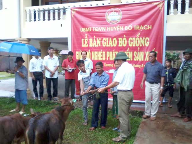 MTTQVN huyện Bố Trạch trao tặng bò cho người dân xã Thượng Trạch.